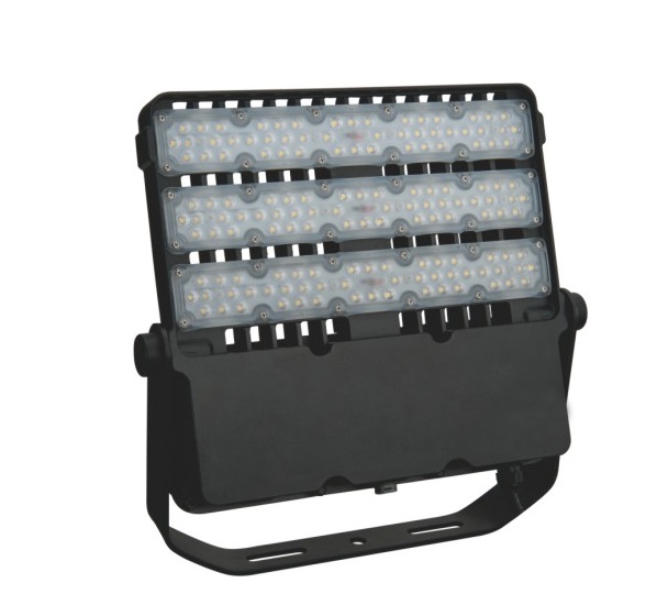 LED Flood Light BF30