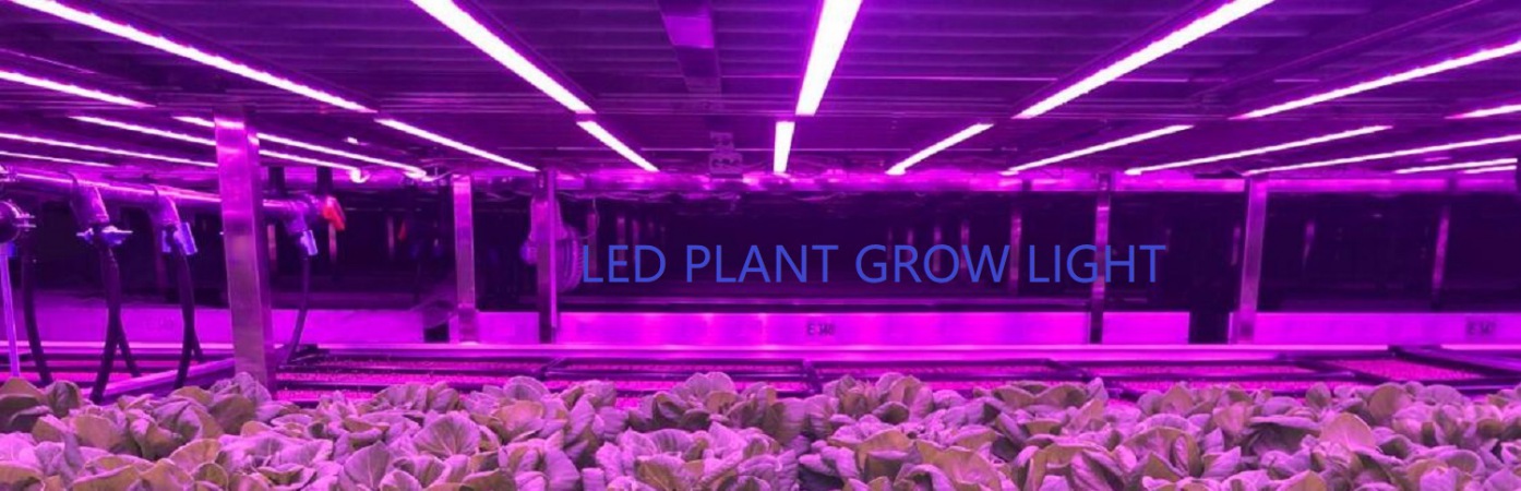 LED GROW LIGHT